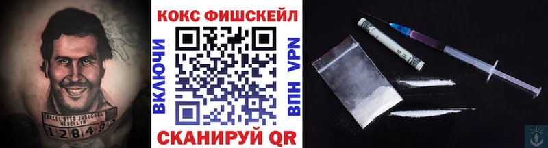 Кокаин Fish Scale  Купить закладки  Опочка 