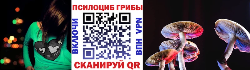 Купить где  Опочка  Галлюциногенные грибы Magic Shrooms 