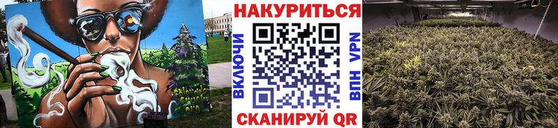 Канабис Bruce Banner  Купить закладки  Опочка 